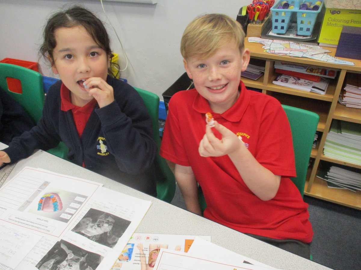 Year 4 have been learning about the functions of our teeth. Of course that means we get to eat in a science lesson!