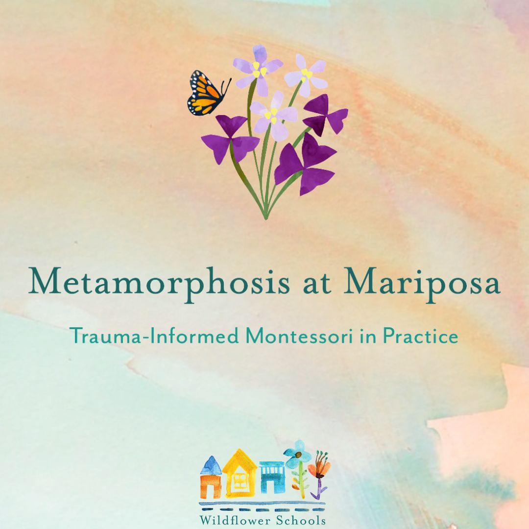 wildflowerschls's tweet photo. Visit our blog to learn more about Mariposa Montessori, which operates in partnership with a shelter and care center for women and children who have survived domestic violence in Puerto Rico. @PrWildflower <link to blog> https://t.co/uSoi5CIFHg https://t.co/wRjWD3ejhX
