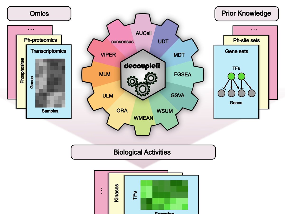 Pau Badia i Mompel tweet media