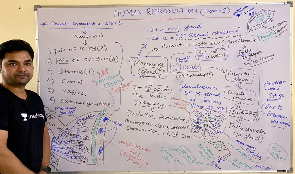 imBioMaster's tweet photo. Human reproduction✌️😀
 
@imsujeet91 
#pw  #byjus  #allen #aakashinstitute #aakashbyjus #physicswallah #sankalp #neetexam #neetbiology #edtech #edtechteachers #edtechstartup #educational #neet2024 #humanphysiology #biologyteacher #biology #cucet #students #student #linkinbio #bio https://t.co/q3YSghZaAR