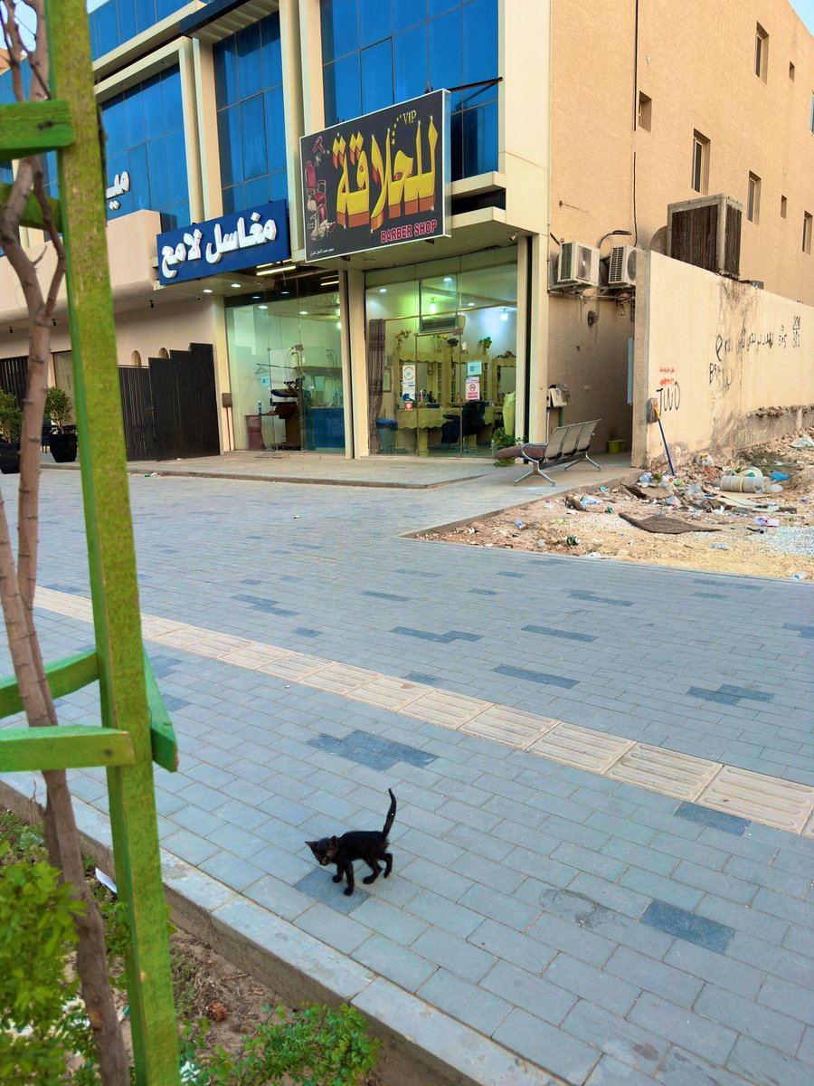 اللي يعرف احد يقدر يعالج القط هذا او يتبناه ياليت يدلني عليه

لي كم يوم اشوفه بنفس المكان

الموقع: 

maps.app.goo.gl/zbhjGNnRkKrg6R…