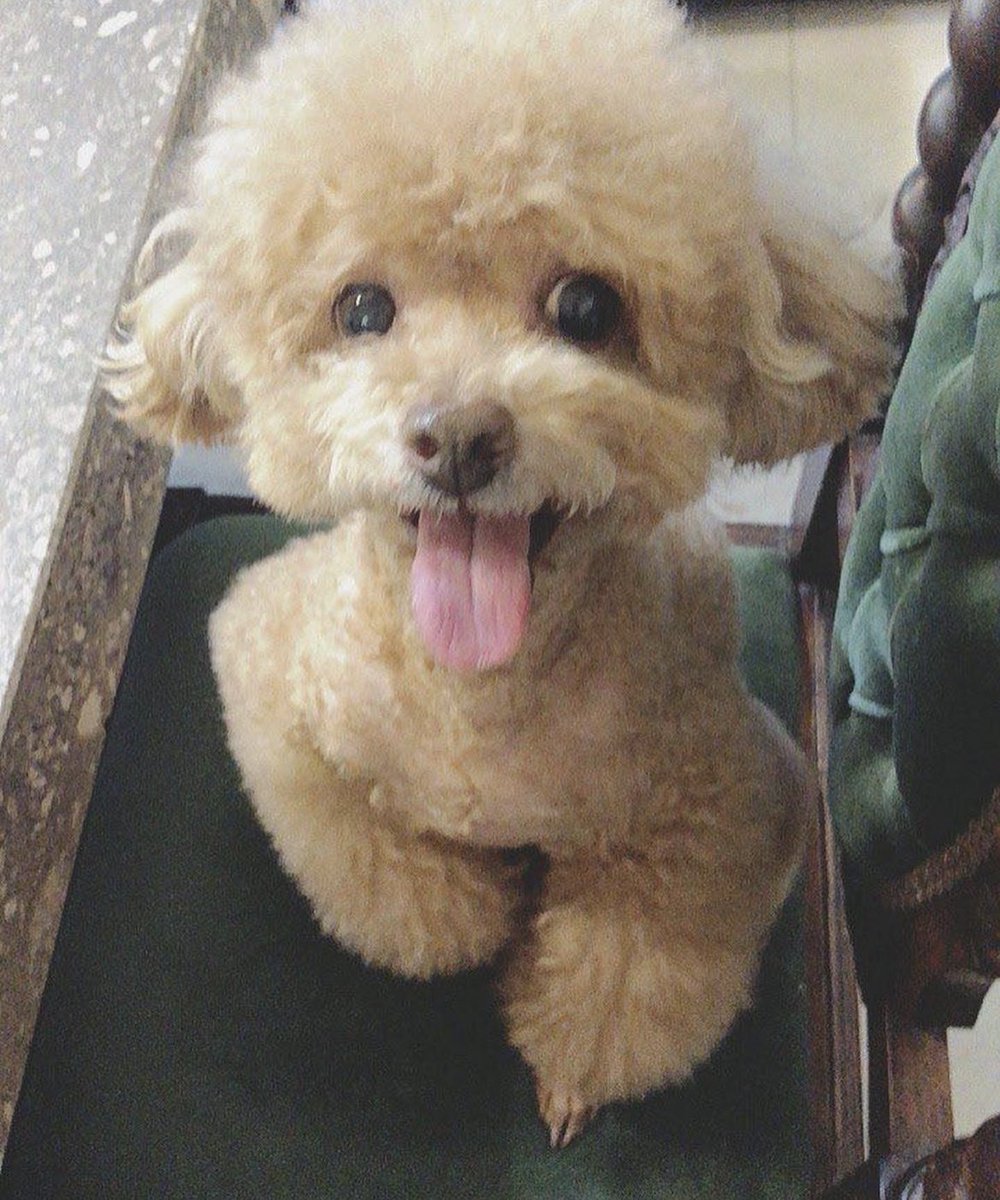 xoarchiveox's tweet photo. 231011 xoalsox IG

2007.12.24~2033.10.10

사랑해 이브야 https://t.co/lD9p5CW1Af