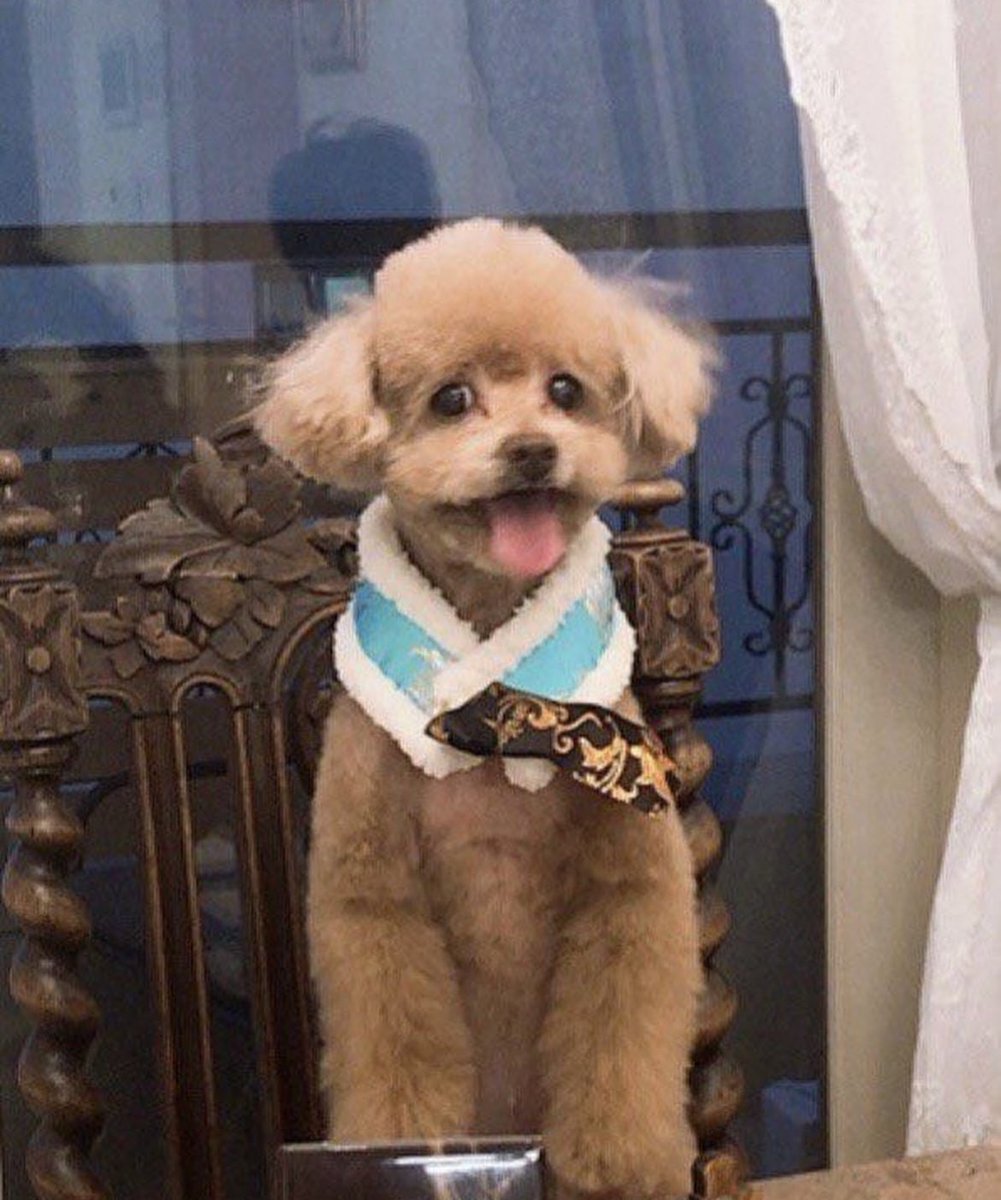 xoarchiveox's tweet photo. 231011 xoalsox IG

2007.12.24~2033.10.10

사랑해 이브야 https://t.co/lD9p5CW1Af