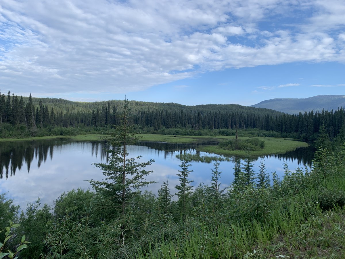 GeoEnkelmann's tweet photo. Great Job opportunity for a bedrock geologists at the Yukon Geological Survey. #GeoJobs https://t.co/IBtmRkhyve https://t.co/82aXRtX3JS