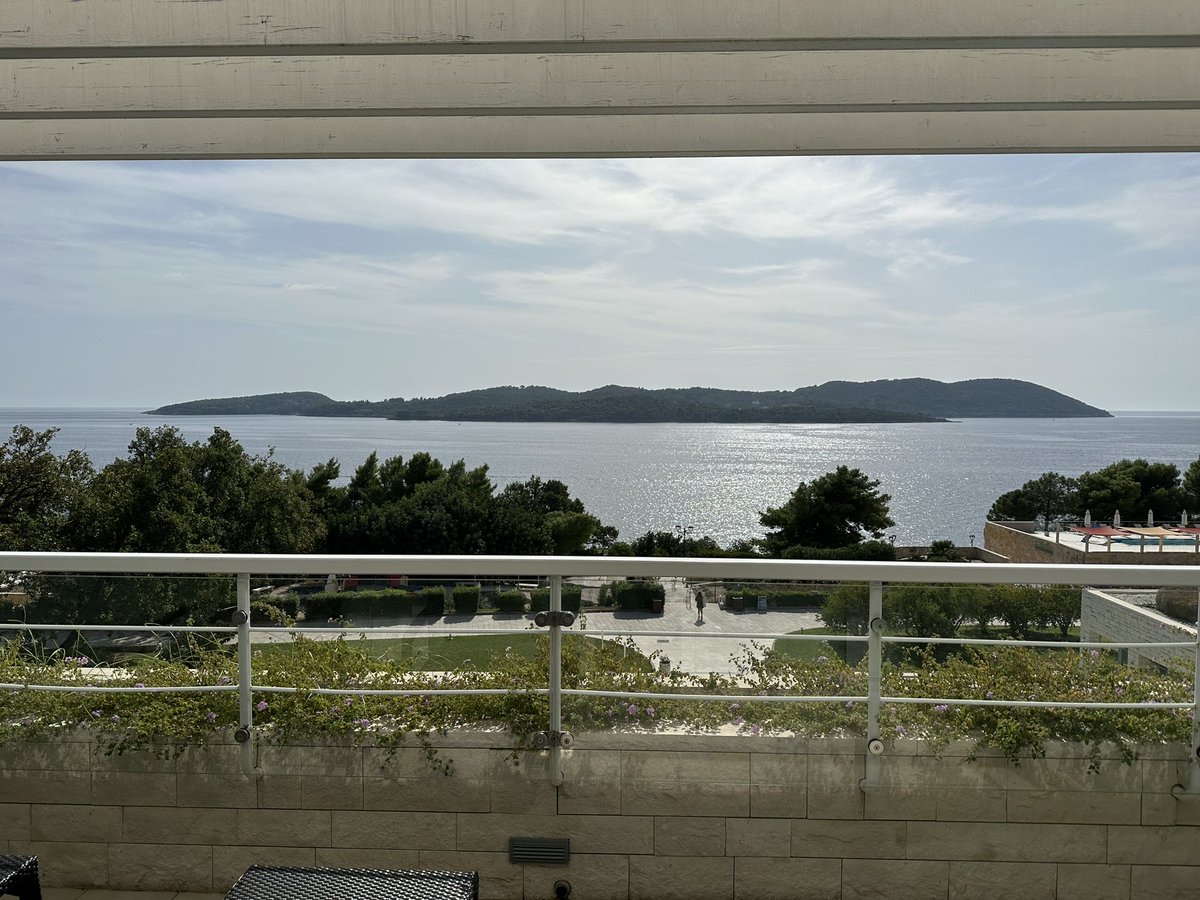 Matt Yousefzadeh tweet media