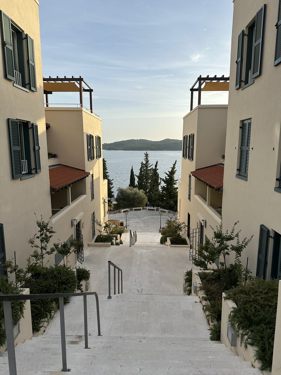 Matt Yousefzadeh tweet media