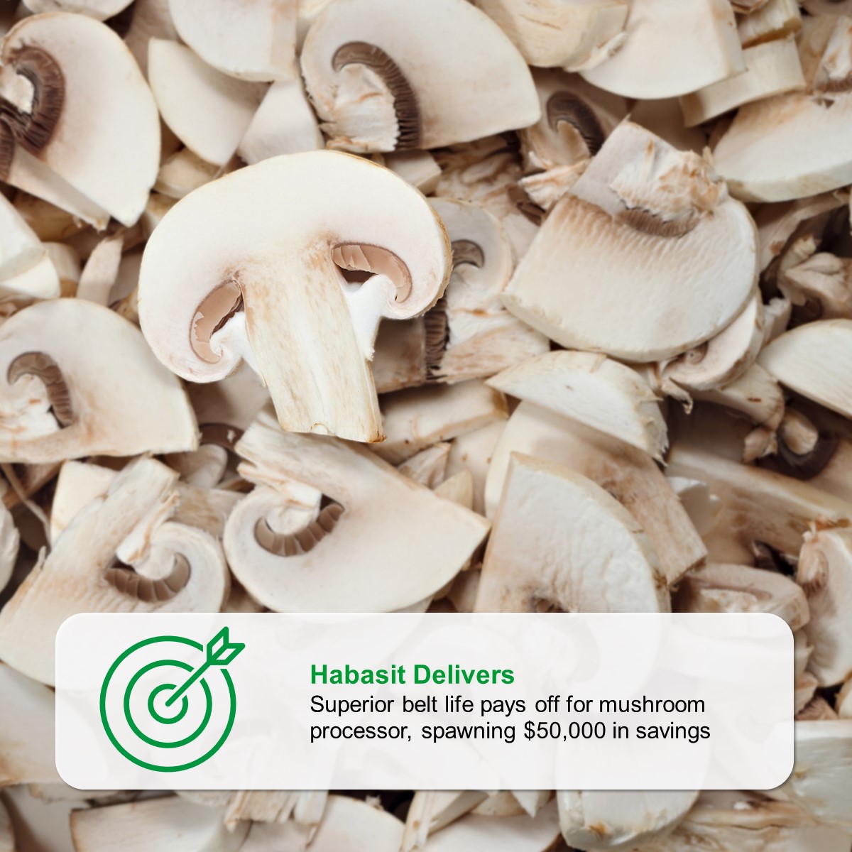 How reliable are your conveyor belts? Our belt’s reliable service life spawned over $50,000 in annual savings.

👉 𝗗𝗼𝘄𝗻𝗹𝗼𝗮𝗱 𝘁𝗵𝗲 𝘀𝘂𝗰𝗰𝗲𝘀𝘀 𝘀𝘁𝗼𝗿𝘆 𝘁𝗼 𝗳𝗶𝗻𝗱 𝗼𝘂𝘁 𝗺𝗼𝗿𝗲:  rebrand.ly/Mushroom-Succe…

📞 𝗖𝗼𝗻𝘁𝗮𝗰𝘁 𝘂𝘀: habasit.com/en-US/Contact-…

#Habasit