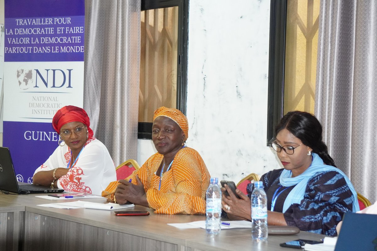 NDIGuinée tweet media