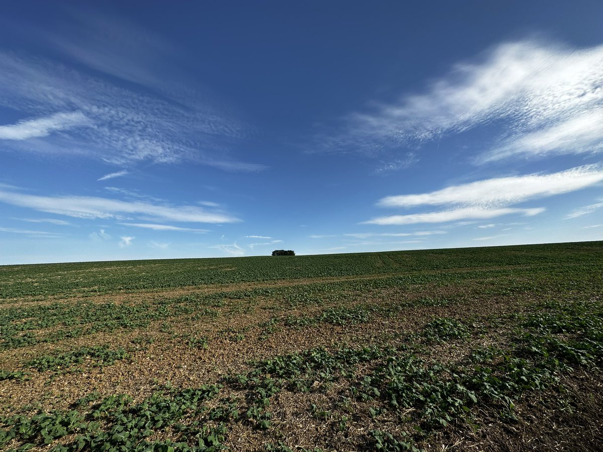 Another warm day on the Somme battlefields. The views from the jumping off points of 9th KOYLI and 10th KOYLI on 1st July 1916 near Bécourt across No Man’s Land . Both Bns paid an exceptionally heavy price as part of 64th Bde. #Somme #WW1 #LestWeForget