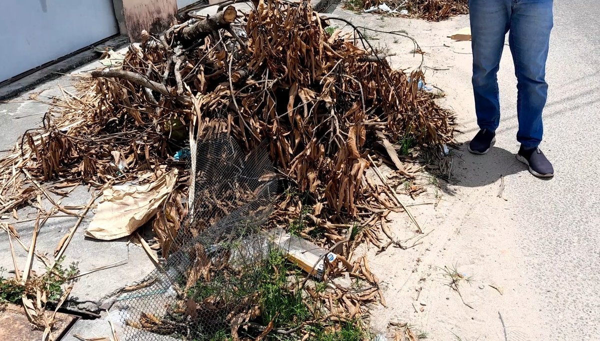 Priscila, outro crime ambiental é o que a @adicbelem vem fazendo, pois eles fazem a "limpeza" nas ruas, nesse caso a TV dos Andrades, mas demoram mais de meses para recolher, e com isso as pessoas começam a jogar seus resíduos também e colocando fogo no mesmo #VCnoJL1