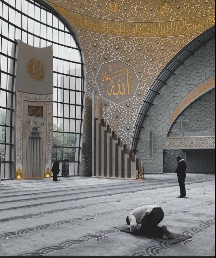 « Pourquoi Allah vous infligerait-il un châtiment si vous êtes reconnaissants et croyants ? Allah est Reconnaissant et Omniscient.»

   -Sourate An-Nisa Verset 147