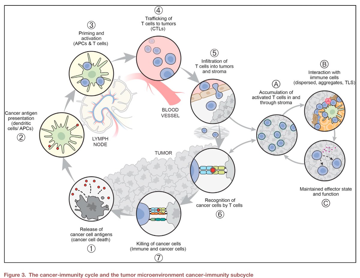 Eric Topol tweet media