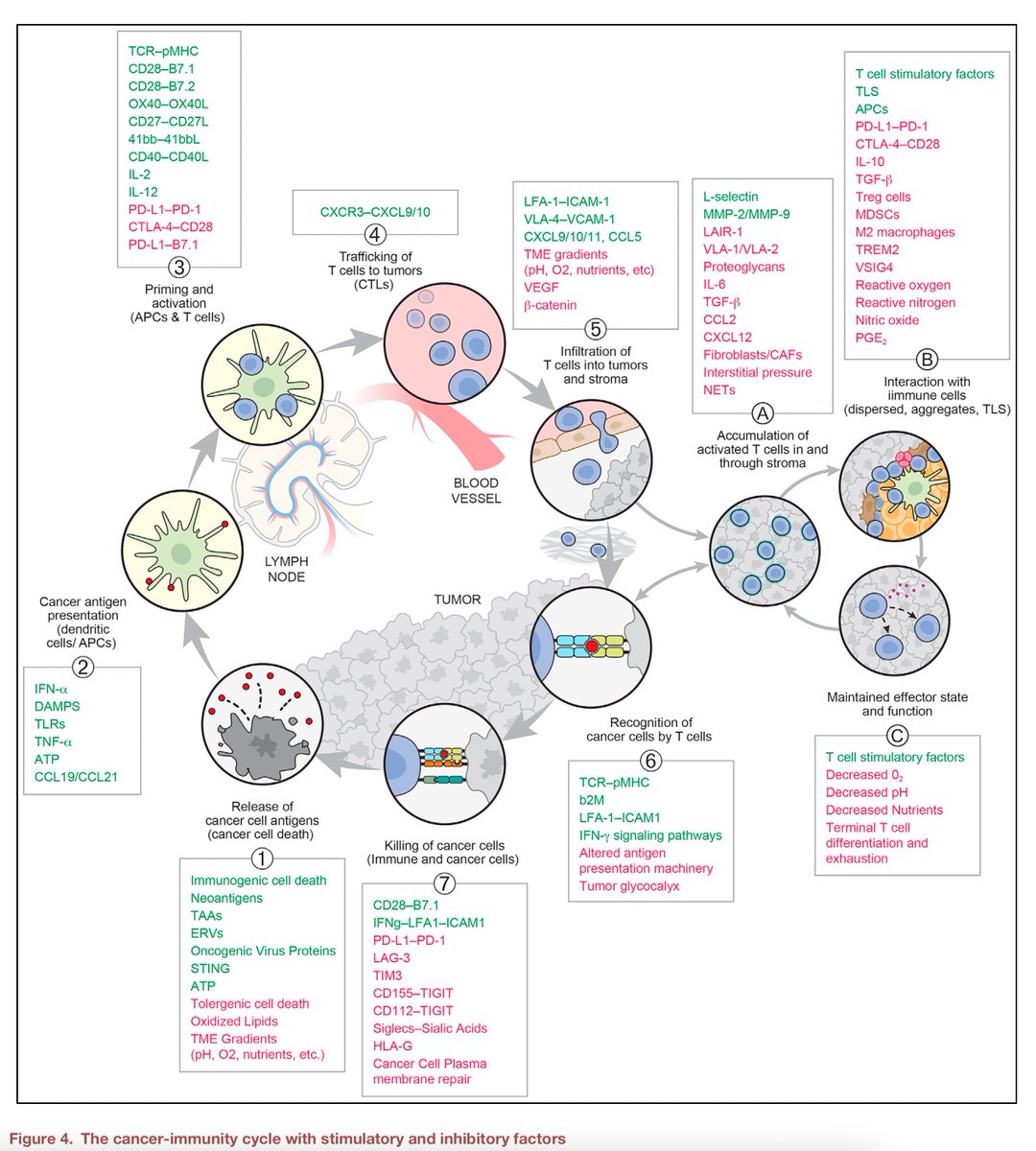 Eric Topol tweet media