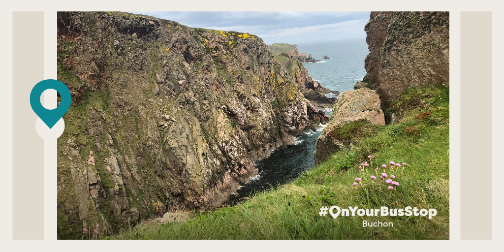 OnYourBusStop's tweet photo. Visit the Longhaven Cliffs Wildlife Reserve to witness incredible natural features such as caves alongside seabird colonies and seals!

To plan your next day out in Buchan &amp; beyond download the Stagecoach app: https://t.co/pVY0oxPrWA #OnYourBusStop @StagecoachBBird https://t.co/MHZu36mPOF