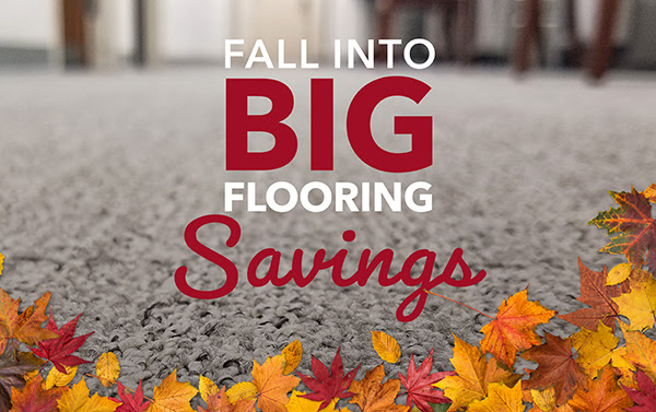 Sloane's Carpet tweet media