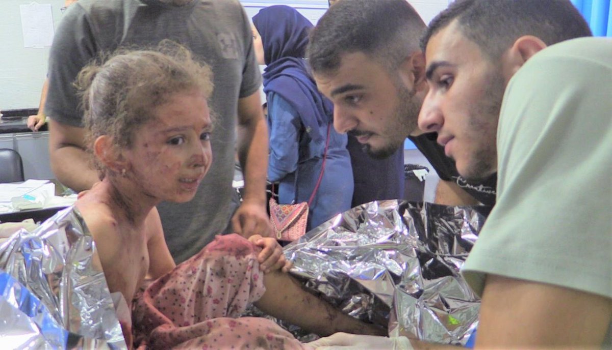 Palestine TV - تلفزيون فلسطين tweet media