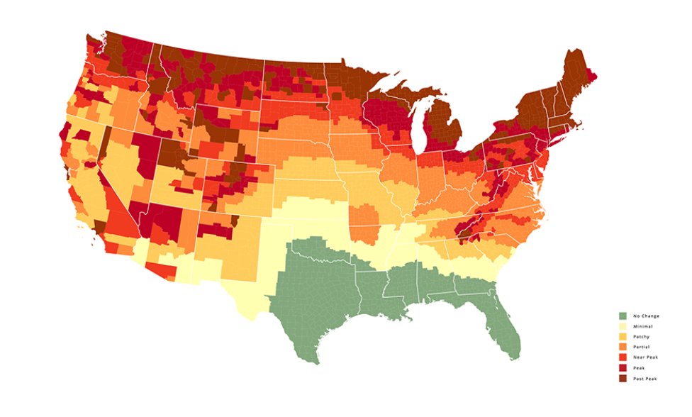 mstdn.social/@duke_data - CDVS on mastodon tweet media