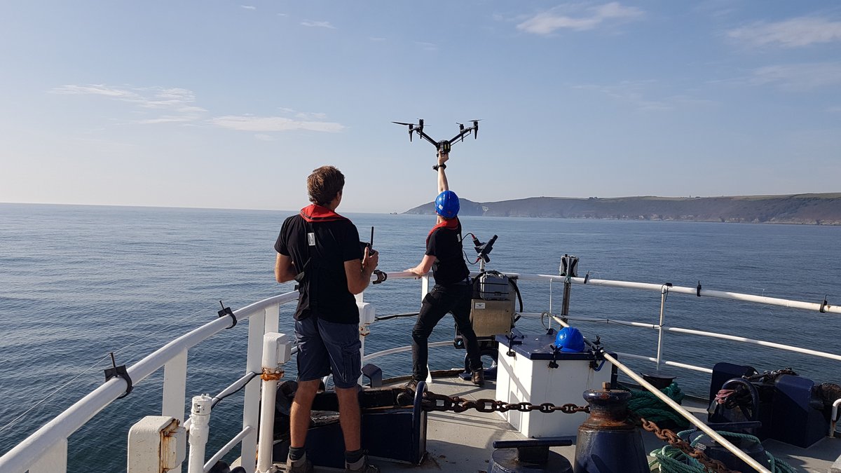 Plymouth Marine Lab tweet media