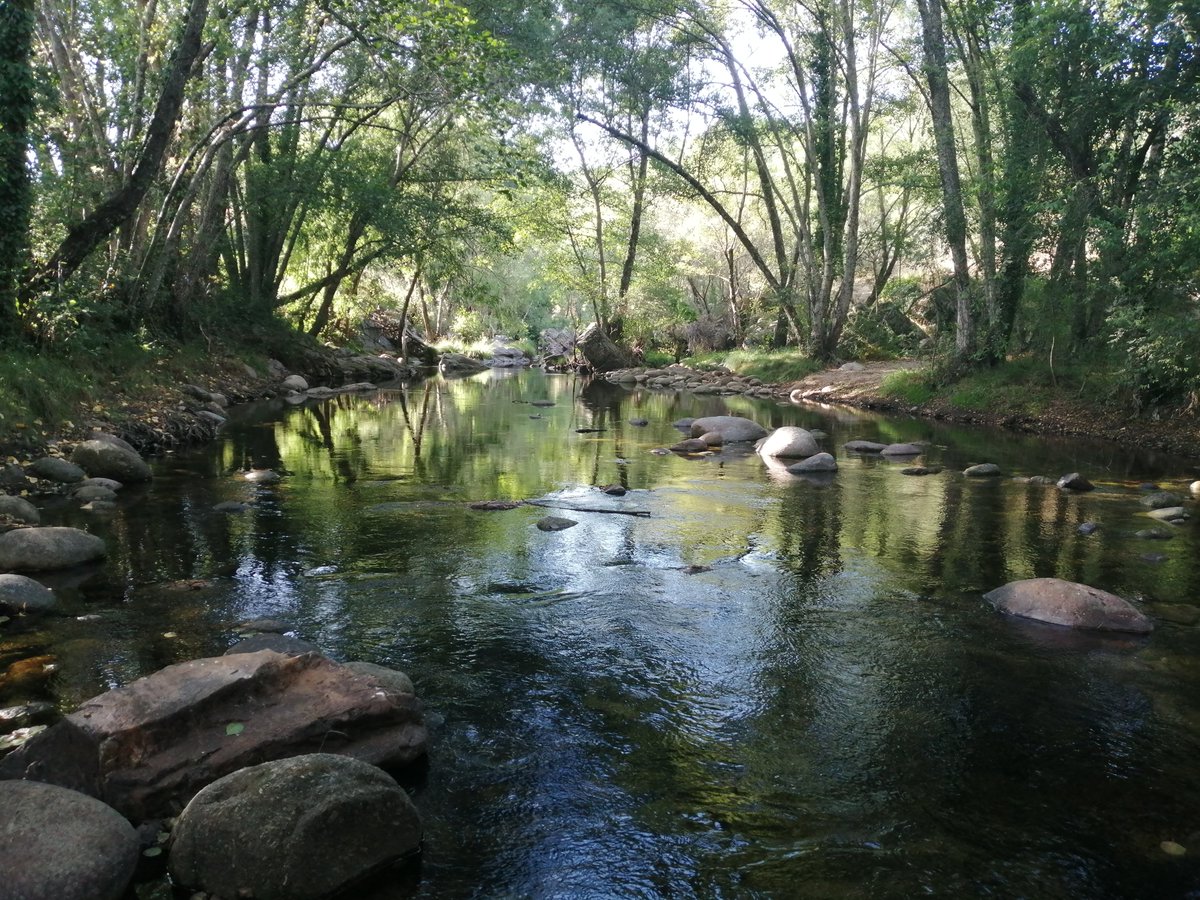 tano_gc's tweet image. Estamos buscando a personas que deseen presentarse próximamente a convocatorias predoctorales (INPhINIT, FPU, CAM) y postdoctorales (#JdC-Formación)

Temas: #CambioGlobal #Biodiversidad y #Funcionamiento de ríos y lagos 

Se agradece difusión. Gracias!!

¿Interesada/o? Más info⬇️