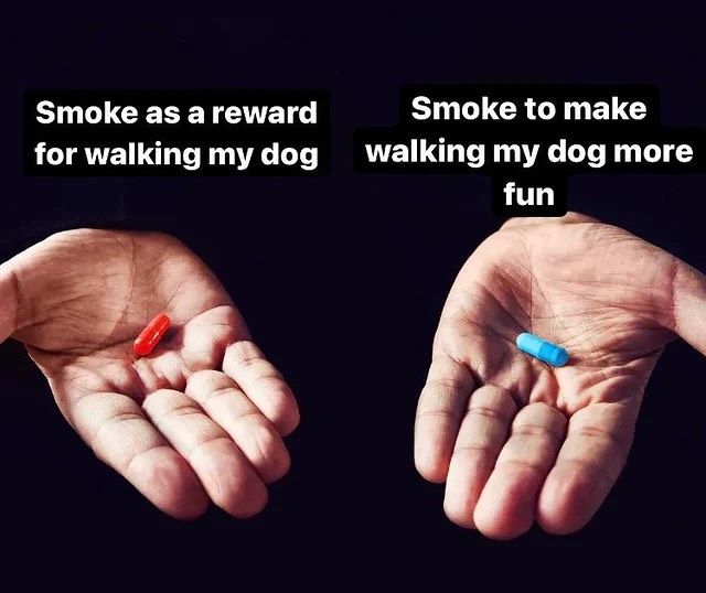 DANKG0D's tweet image. Tough choices..