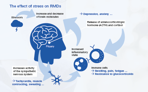 #WorldMentalHealthDay 
#Stress is closely related to inflammatory mechanisms in the body. Exposure to physical or emotional stress can be a trigger for #RMDs
@eular_org #EULARAdvocacy