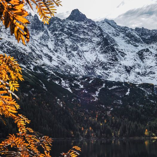 GORSKI_SWIAT's tweet photo. #POLSKA🇵🇱
#TATRY #jesień 2023r #MorskieOko #Mnich
TatraLife... https://t.co/wIfdxjY3TC