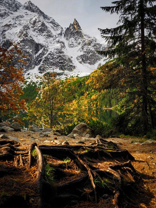 GORSKI_SWIAT's tweet photo. #POLSKA🇵🇱
#TATRY #jesień 2023r #MorskieOko #Mnich
TatraLife... https://t.co/wIfdxjY3TC