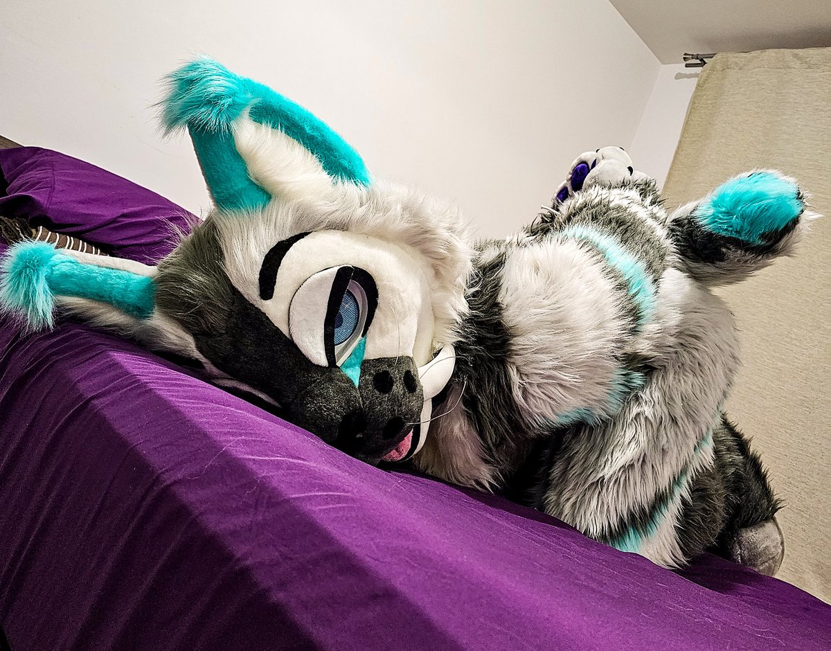 ad_xytan's tweet photo. Do you want to play with this bad kitten? 😏🔥
#Mursuit #Hot #Kitten #Mursuiting #Sex #Murr #Murrsuit #Murrsuiting #FurryPorn #FurrySex #Submission #BadKitten https://t.co/JYQbQsMCsJ