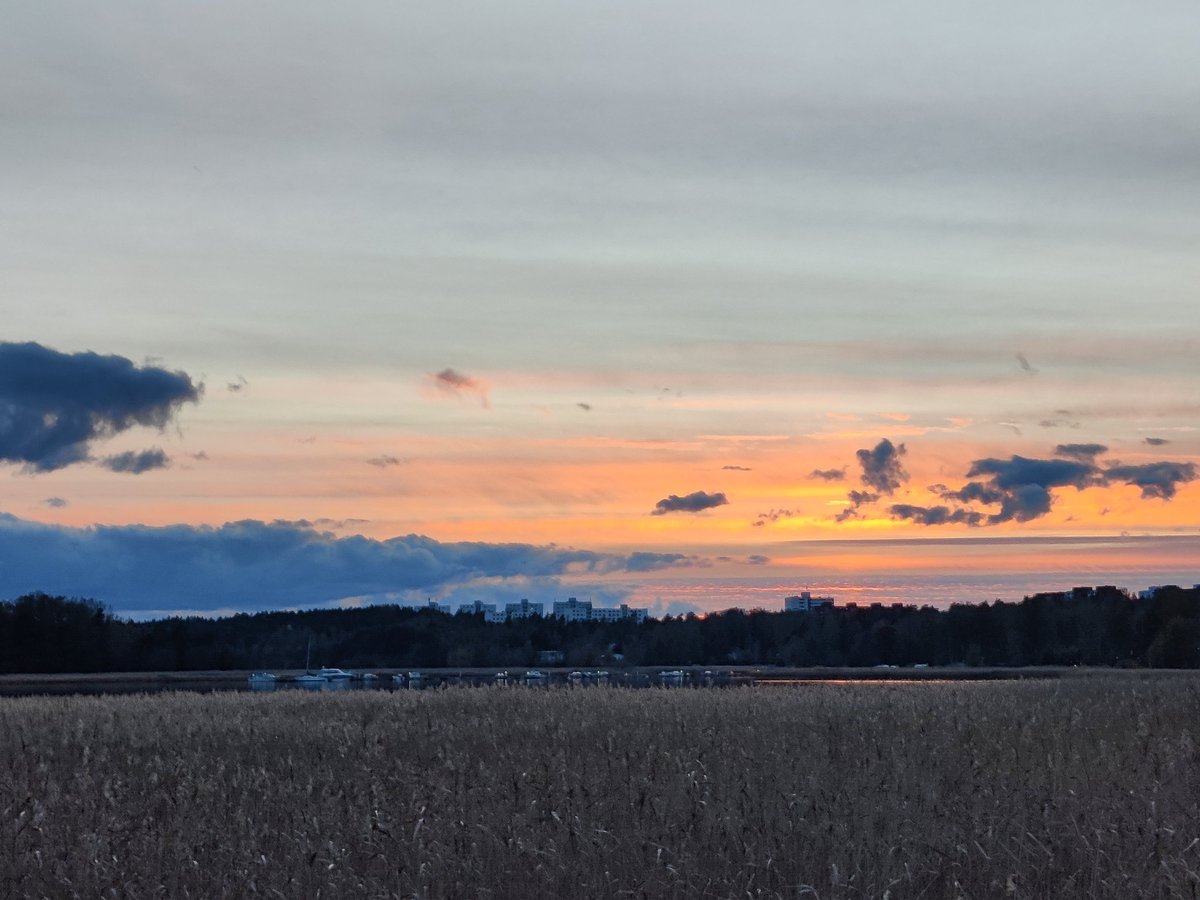 Today is World Mental Health Day, getting positive vibes from simple things