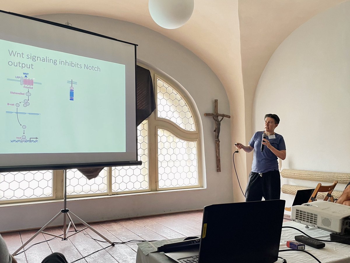 Eliš Ká tweet media