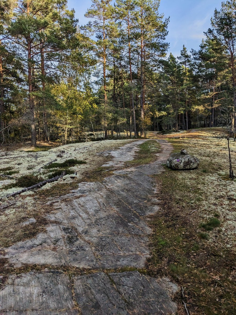 Duncan Philpott tweet media