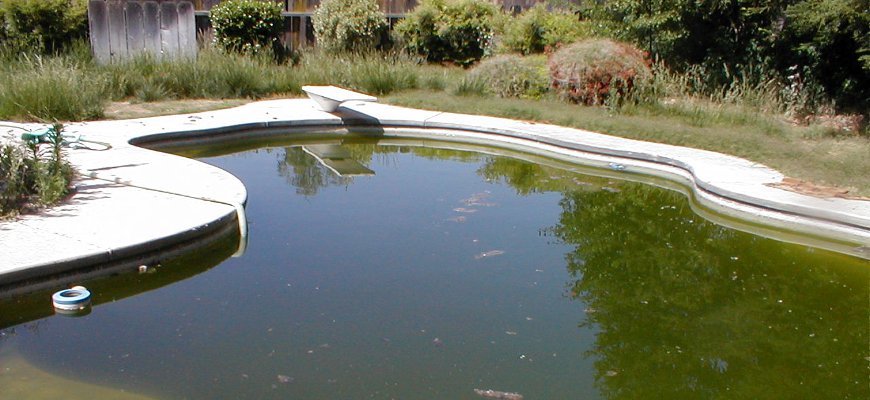 Please do not ignore your swimming pool this fall/winter and let the water turn green.  Maintaining the chemicals in the water prevents mosquitoes from laying eggs and helps reduce mosquito numbers in our neighborhoods.  #mosquito #Westnile #kernmosquito #greenpool