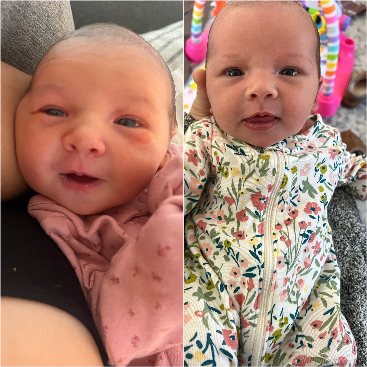 NJdubb_'s tweet photo. 4 days old vs almost 2 weeks old 🥹 https://t.co/dlZSdEETiQ