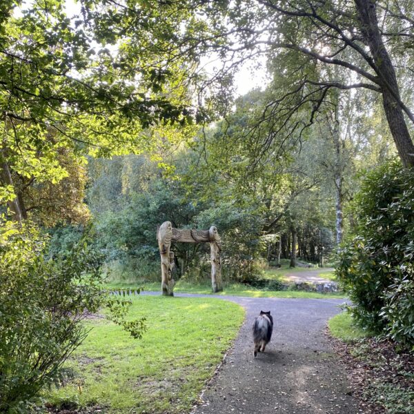 ExpressFalkirk's tweet image. Get around Falkirk and recharge your soul ☀️ 
At Plean Country Park, you can also take your furry friends with you for a walk! 🐾
#OutdoorAdventure #Falkirk #ExpressTaxisFalkirk