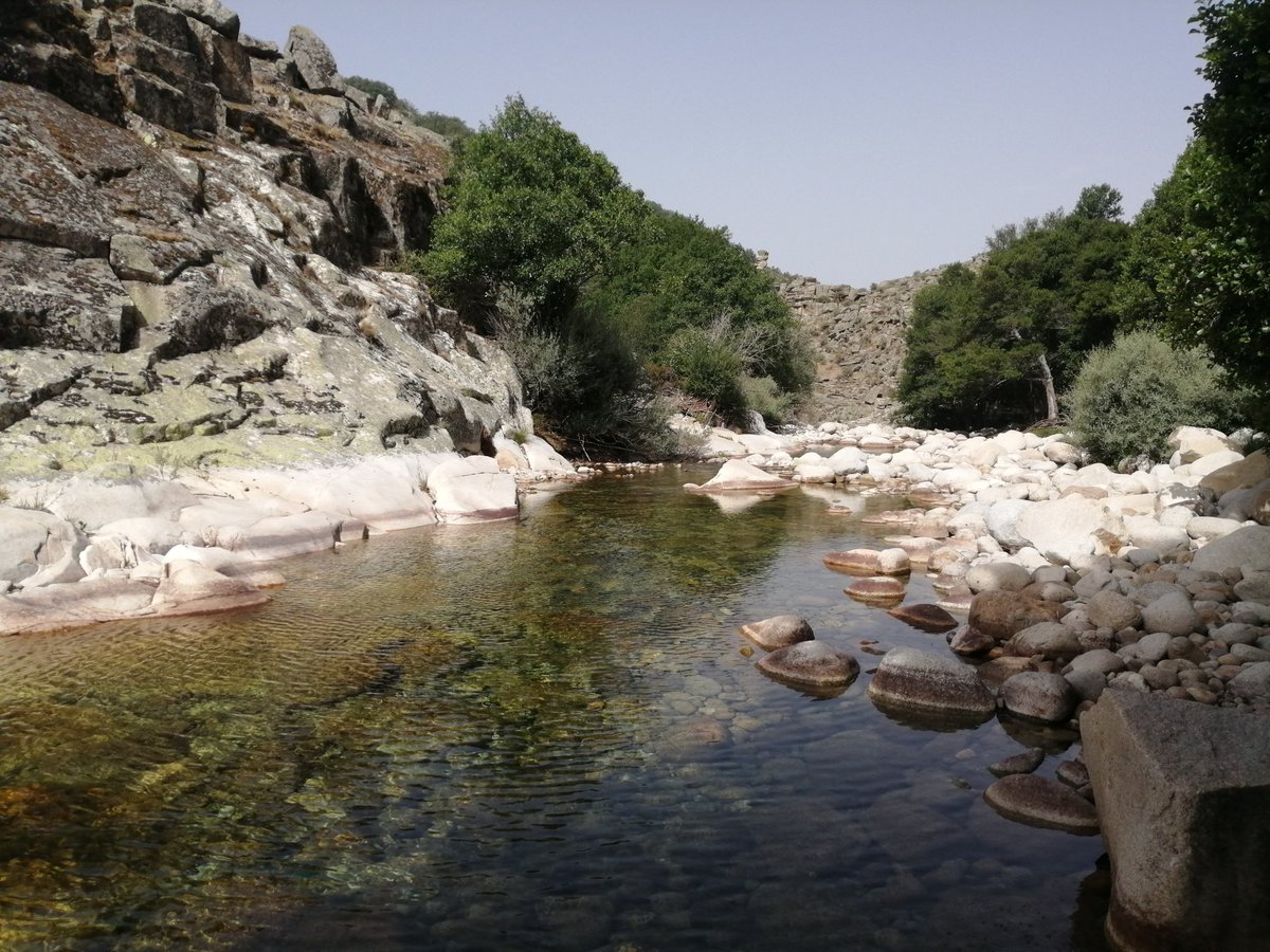 tano_gc's tweet image. We are looking for candidates to apply for funding to #PhD and #postdoc Spanish/international calls

Topics: #GlobalChange #Biodiversity #EcosystemFunctioning in streams and lakes

Pls RT!! Thanks!

Contact:
cayetano.gutierrez@urjc.es
javier.sanchezh@urjc.es
ignasi.arranz@urjc.es