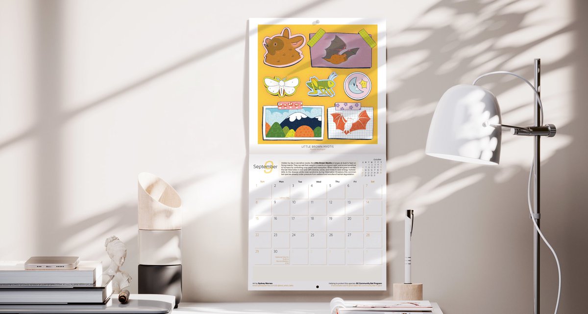 Elaine Chen ☘️ tweet media