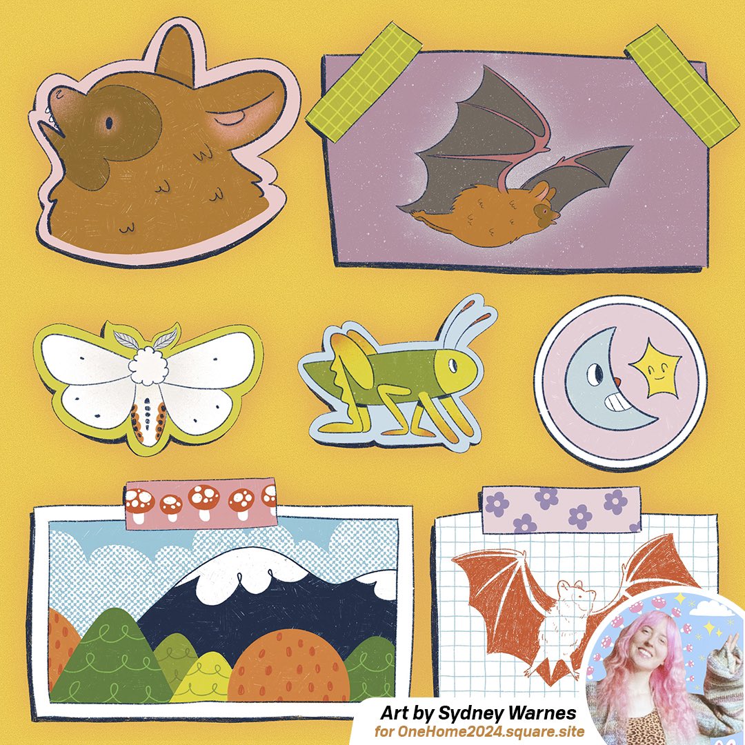 Elaine Chen ☘️ tweet media