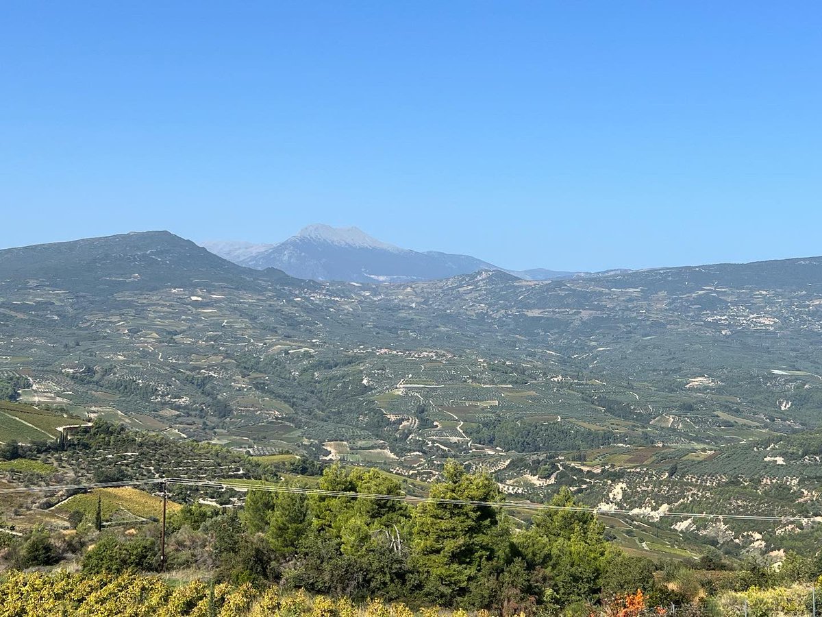 bonkowskimw's tweet image. A splendid day of full immersion in Nemea, with its sweeping mountain valley vistas, meeting top viticulturalist Konstantinos Bakasietas, and tasting vintages young and old of southern Greece’s top red wine. 
 
#mastersofwine #mwpeloponnesetrip
#greekwine 🇬🇷