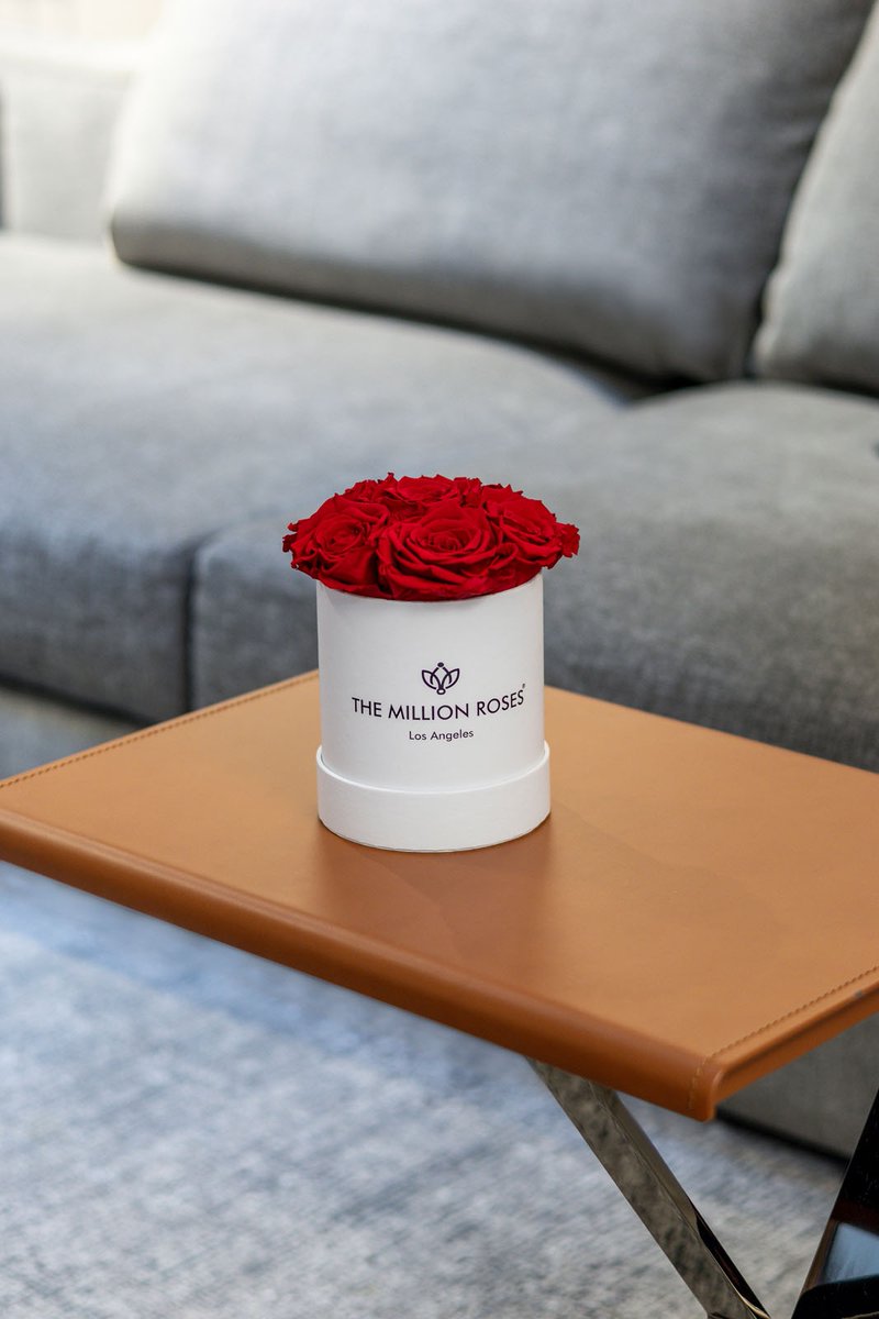 themillionroses's tweet photo. #TheMillionRoses https://t.co/1uaXPuaapK