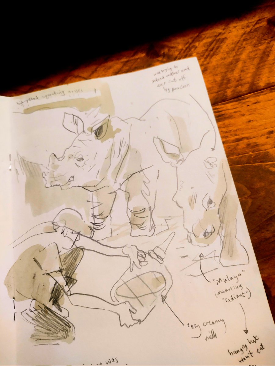 CorbanWilkin's tweet photo. Drawing baby rhinos getting fed at the rhino orphanage.
@wildtomorrow
#cbccwild23
#sketchbook #sketching #sketchbookinspiration #sketchbookideas #sketches #drawingpractice #drawinganimals #drawing #drawingfromlife #animals #southafrica https://t.co/NbjL8roZTU