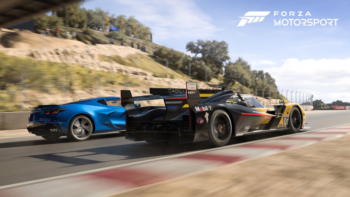 Forza Motorsport  Official Profile