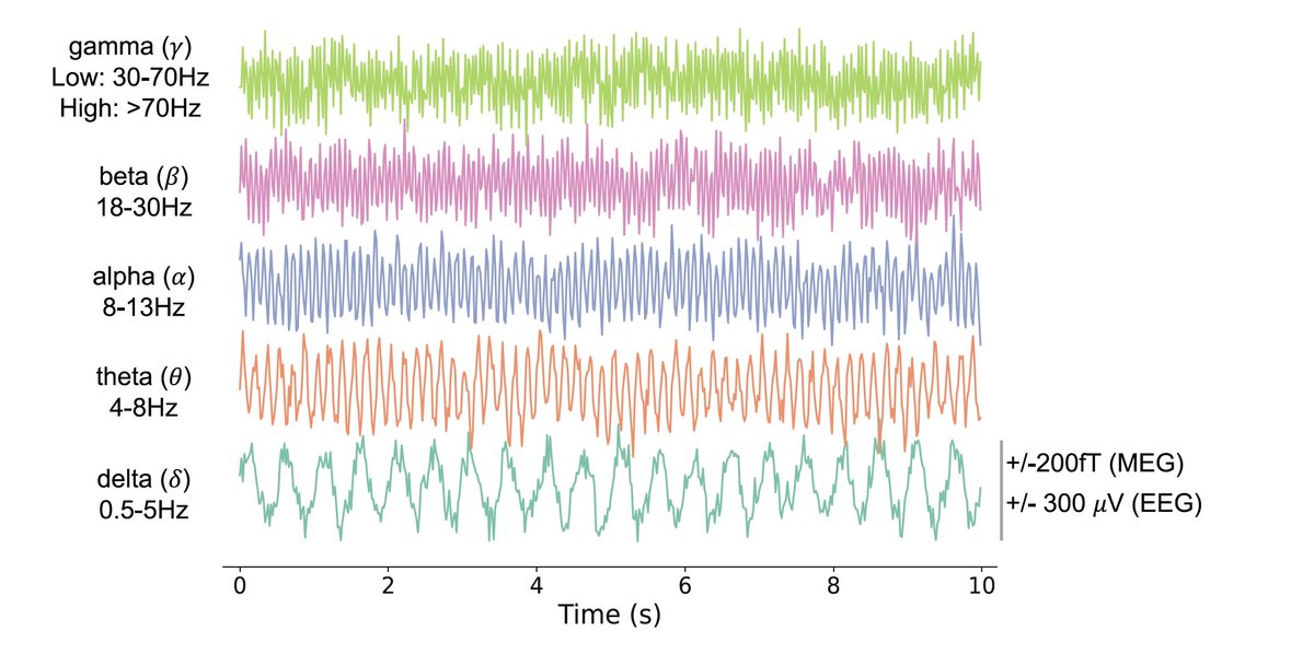 Olivier Colliot tweet media