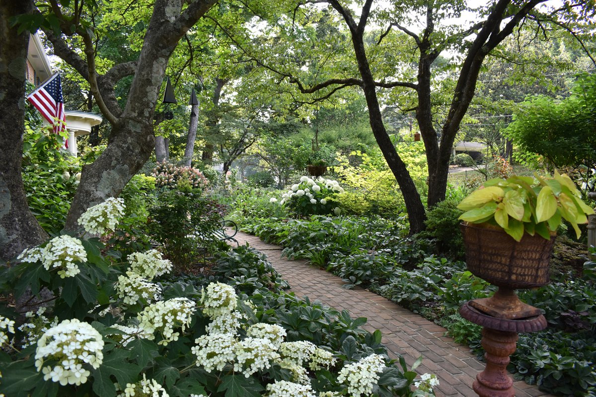 Ode à la Rose tweet media