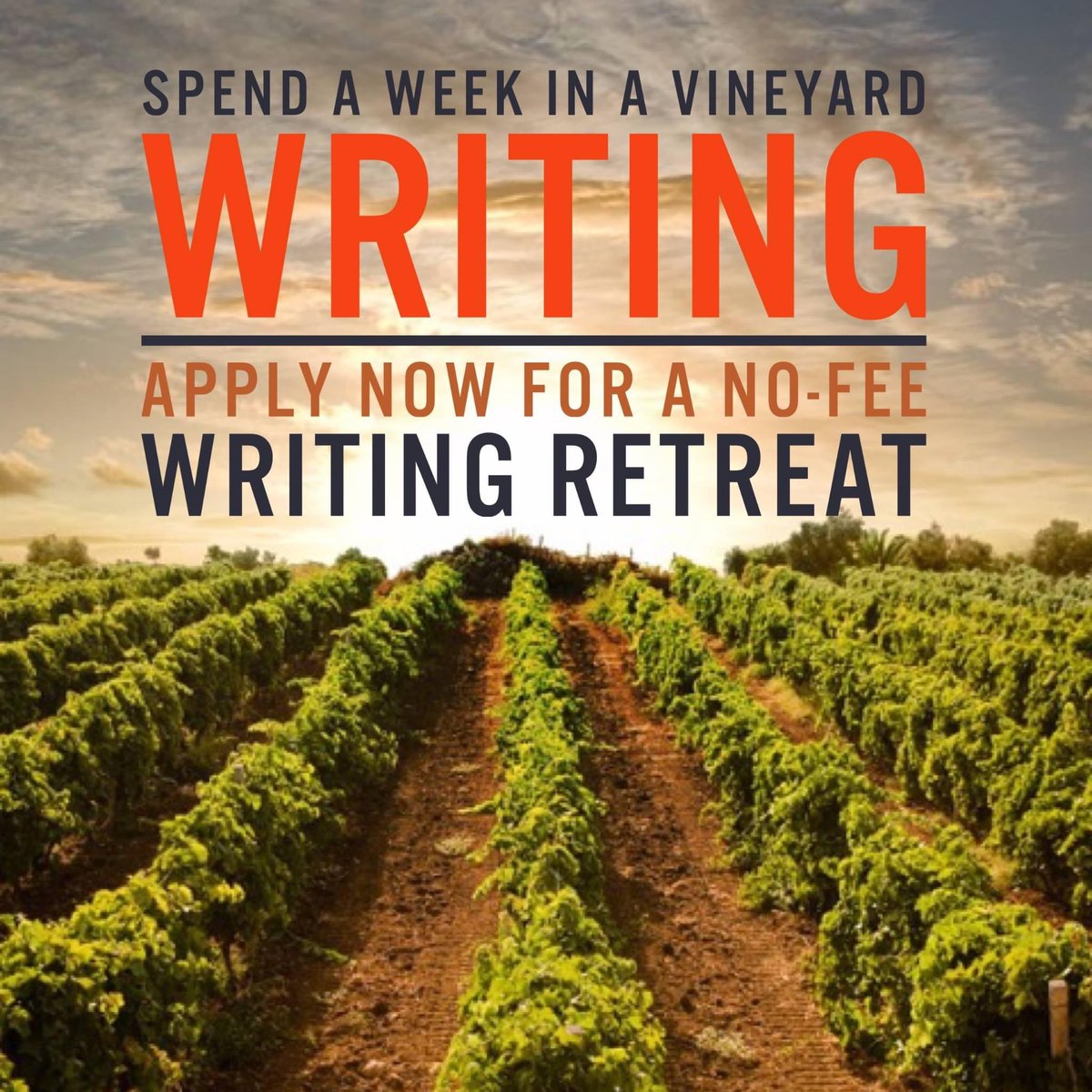 Writing BtwThe Vines tweet media
