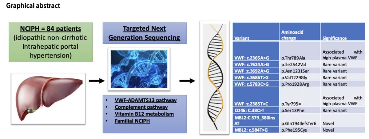 Focused panel sequencing points to genetic predisposition in non-cirrhotic intrahepatic portal hypertension patients in India

Data From CMC Vellore, India

Variants in MBL2, CD46 and VWF genes are either associated or predisposing to NCIPH.

link.springer.com/article/10.100…