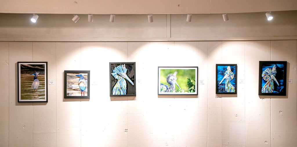 101 Highland Lakes tweet media