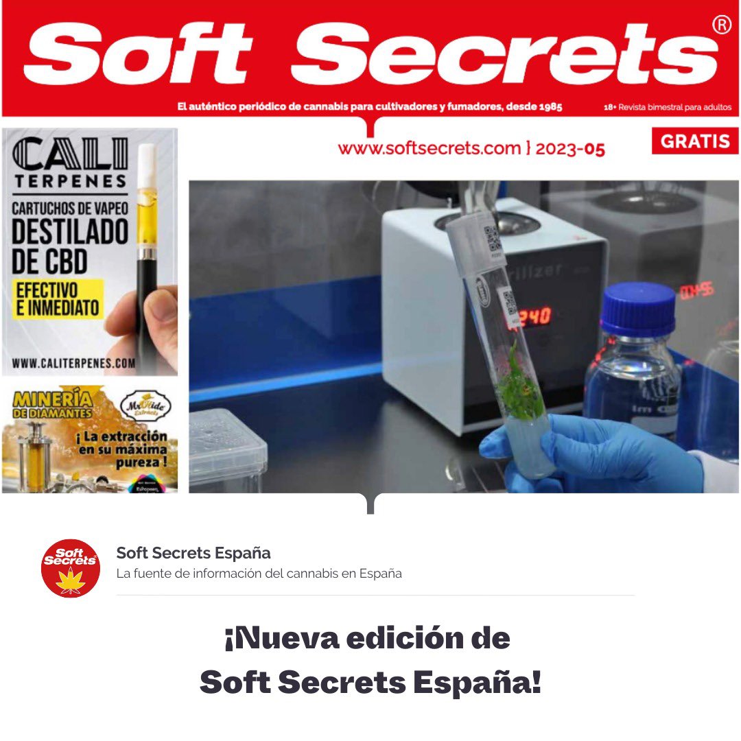 SoftSecrets_ES's tweet image. ¡Ya está aquí la nueva edición de #SoftSecrets! Con artículos de los grandes @jorgecervantesmj y @ed_rosenthal_420 todo para un cultivo de #cannabis exitoso, #CBD, #politica, las mejores variedades, y mucho más. issuu.com/sandrasoftsecr…