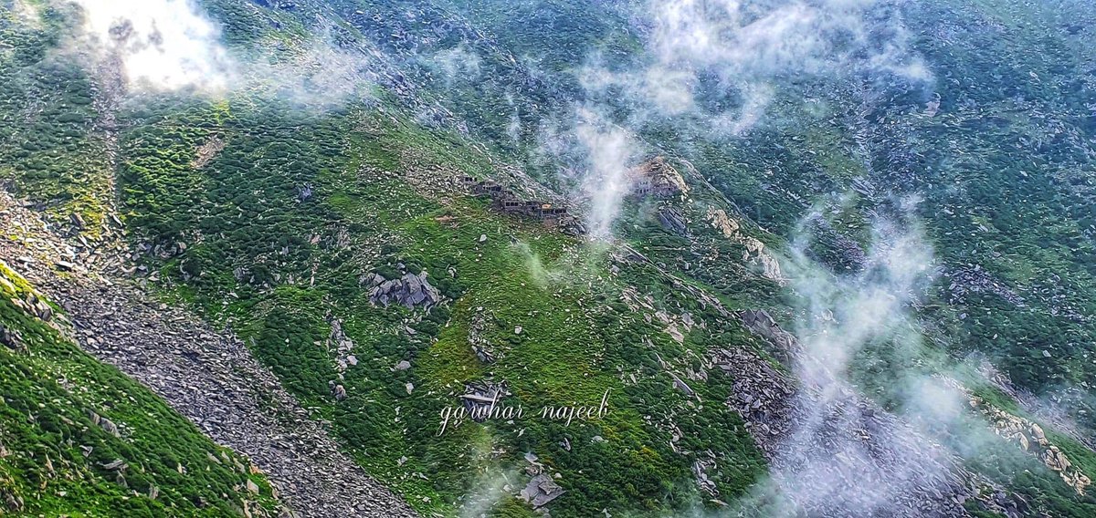 VisitAFG's tweet photo. Nuristan National Park 🤩
📸 @gawharnajeeb2 https://t.co/jq5PdKC9YE