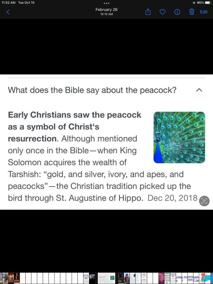 Shanneighteen's tweet image. #DirectComms 
From #yoursTRULY 
#manbuyingFLOWERS #delta Oct. 1
@ 10:22=212=#PAIN
 #PAM (#MAP) Clink=79=
#Champion
#Yeshua
#flower
#alphaomega
#fryday
#buckley🎂May 2=52=#Day52=12.21=#Mayan=33 
#handsome 

#Gabriel=54=
#LOVE
#eyes
#codeRED
#peacock 
“#GoHOME”
5:57=512=35/26/17