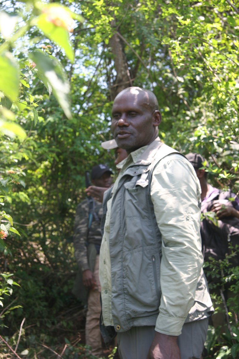 CoEBrwanda's tweet image. The @CoEBrwanda  at @Uni_Rwanda   in collaboration with @IUCN , @EnabelinRwanda , @RwandaForestry  Authority and @EnvironmentRw  is conducting baseline biodiversity surveys for the Swedish-funded #COMBIO project.
